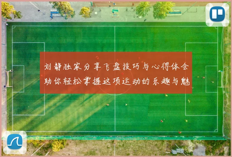 刘静独家分享飞盘技巧与心得体会助你轻松掌握这项运动的乐趣与魅力