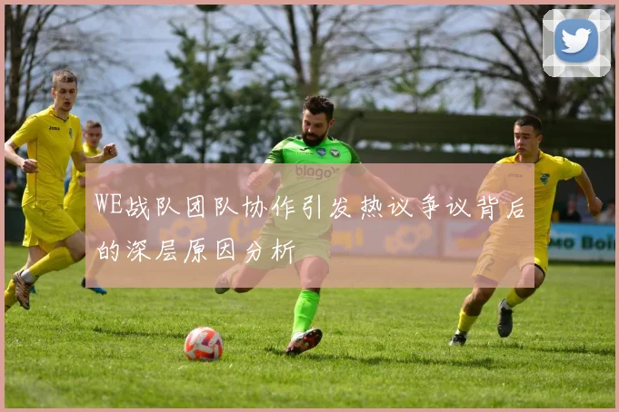 WE战队团队协作引发热议争议背后的深层原因分析