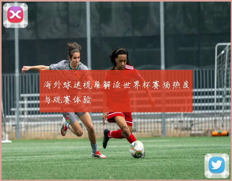海外球迷视角解读世界杯赛场热度与观赛体验