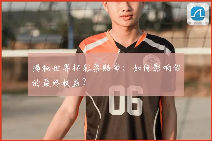 揭秘世界杯彩票赔率：如何影响你的最终收益？