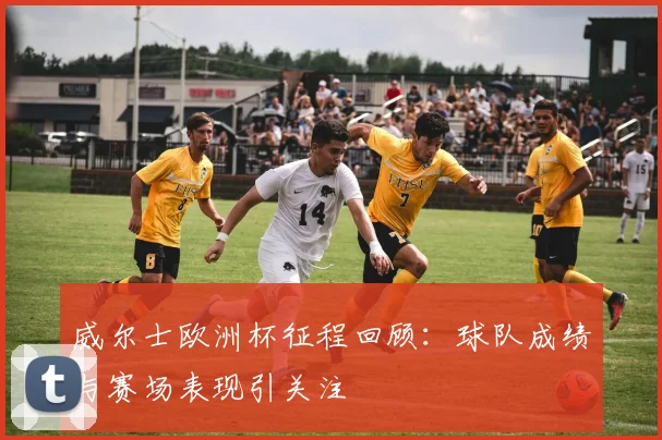 威尔士欧洲杯征程回顾：球队成绩与赛场表现引关注