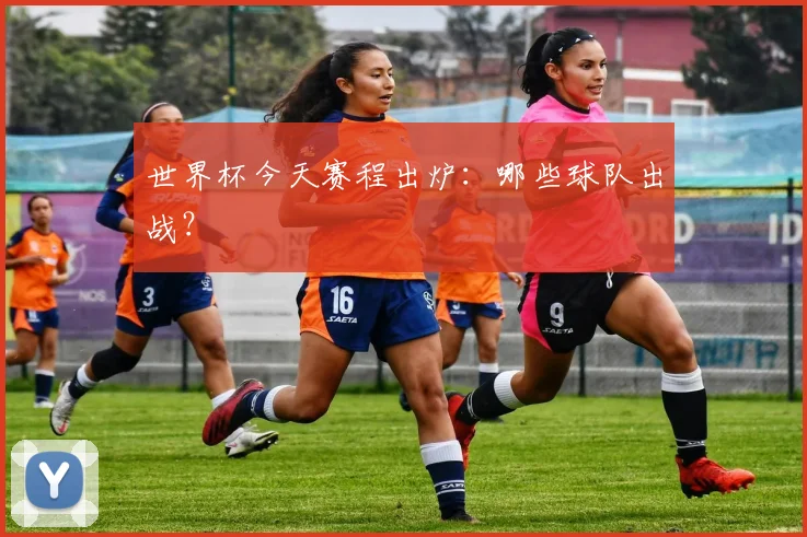 世界杯今天赛程出炉：哪些球队出战？