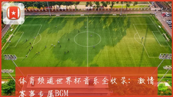 体育频道世界杯音乐全收录：激情赛事专属BGM