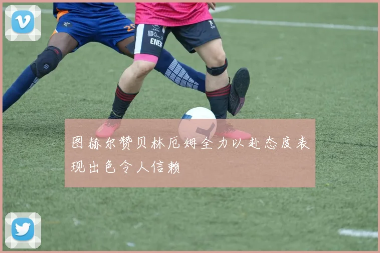 图赫尔赞贝林厄姆全力以赴态度表现出色令人信赖