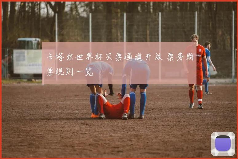 卡塔尔世界杯买票通道开放 票务购票规则一览