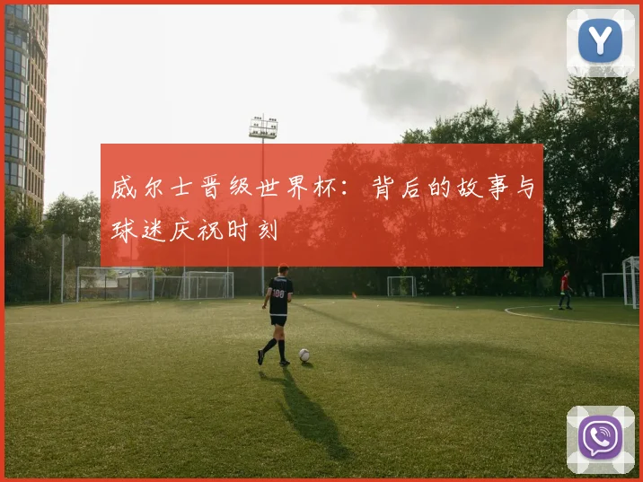 威尔士晋级世界杯：背后的故事与球迷庆祝时刻