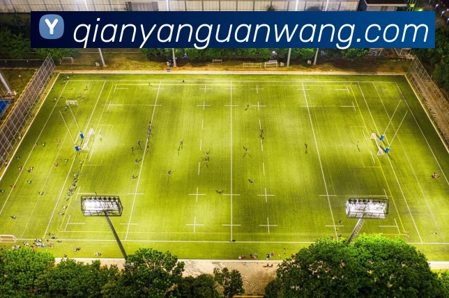 华体会体育平台生态图