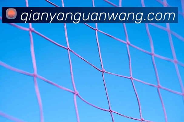 华体会体育全站App